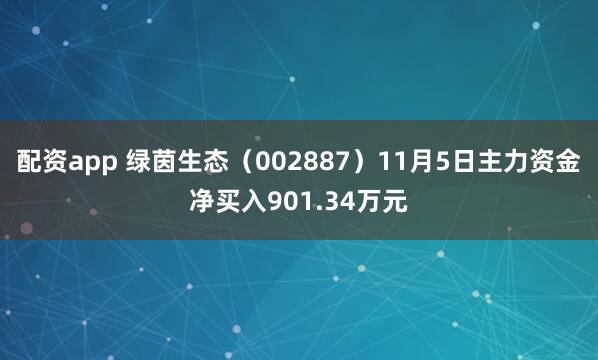 配资app 绿茵生态（002887）11月5日主力资金净买入901.34万元