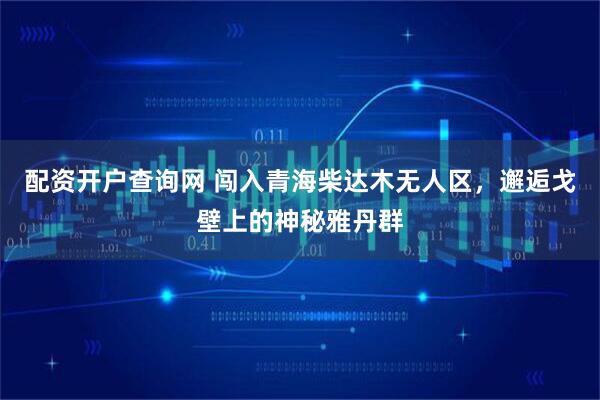 配资开户查询网 闯入青海柴达木无人区,邂逅戈壁上的神秘雅丹群