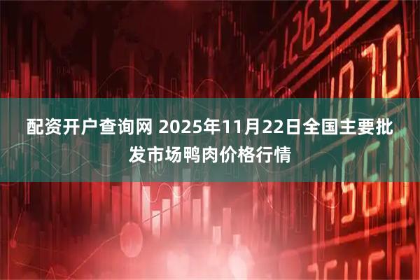 配资开户查询网 2025年11月22日全国主要批发市场鸭肉价格行情